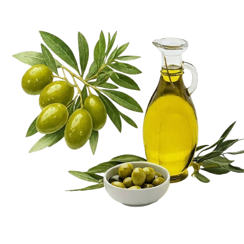 اسلایدر تصویر 1